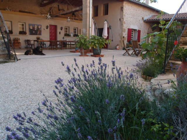 Ferme Robin Bed & Breakfast Marsaz Luaran gambar